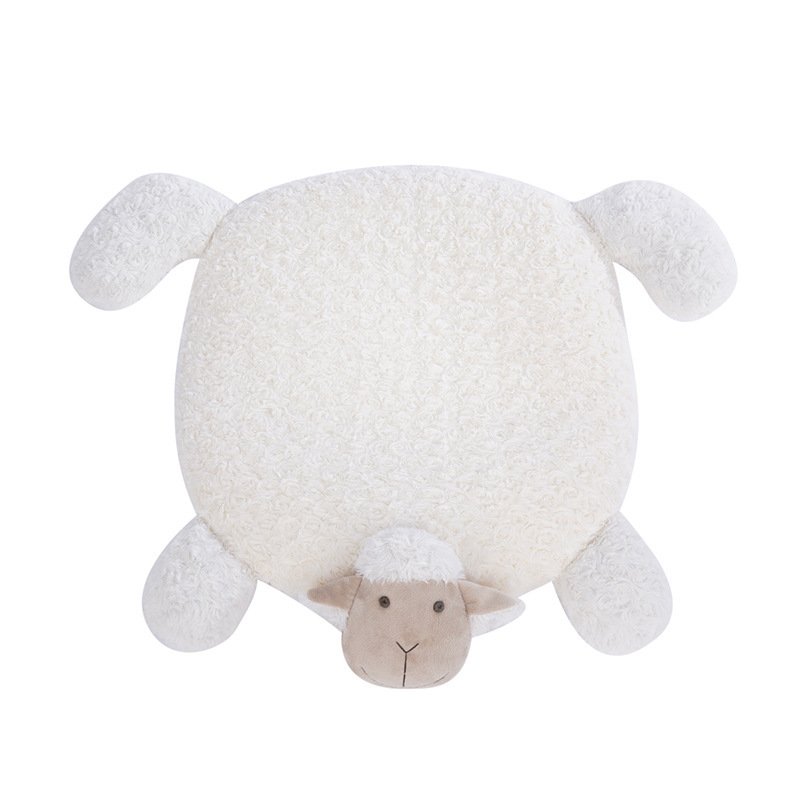 06682D51-Df2B-455E-A614-4683Aaf6D888.Jpg Orthopedic Pet Sleeping Mat For Ultimate Pet Comfort