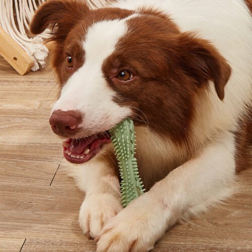 0b99c382-f80d-4fc2-9abb-b0ce675f2a15.jpg Chew Toys For Dog Teeth Cleaning