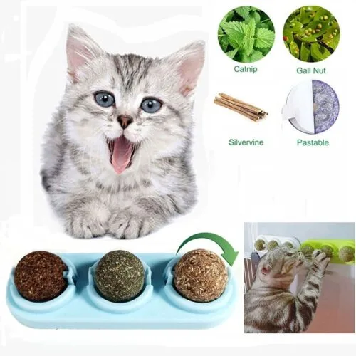Catnip Lick Ball