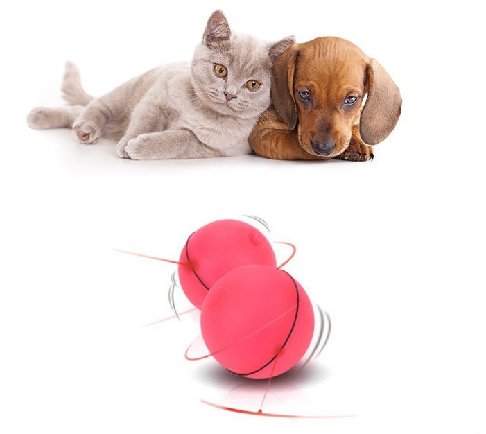 🐾 Led Cat Toy Ball – The Ultimate Interactive Laser Toy For Happy Cats