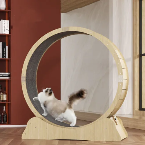 Cat Treadmill Wheel