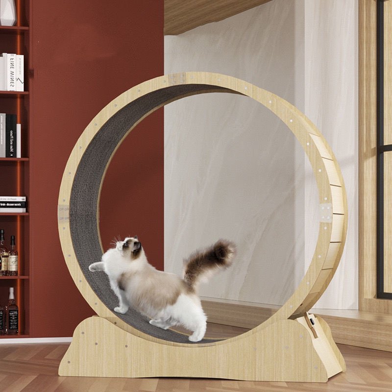 Cat Treadmill Wheel