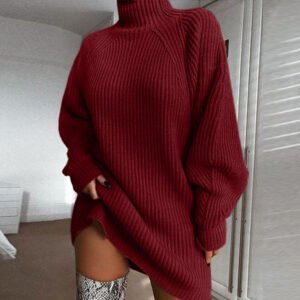 2137150984968.Jpg Solid Turtleneck Long Sweater Winter Warm Women Sweater Dress
