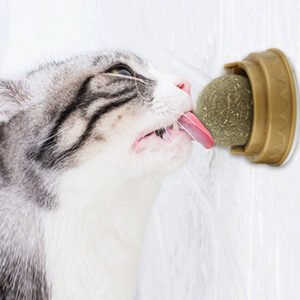 Catnip Balls For Cats