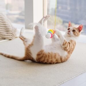 Interactive Hanging Cat Toy – Ultimate Self-Play Feather Rope Toy For Happy Cats