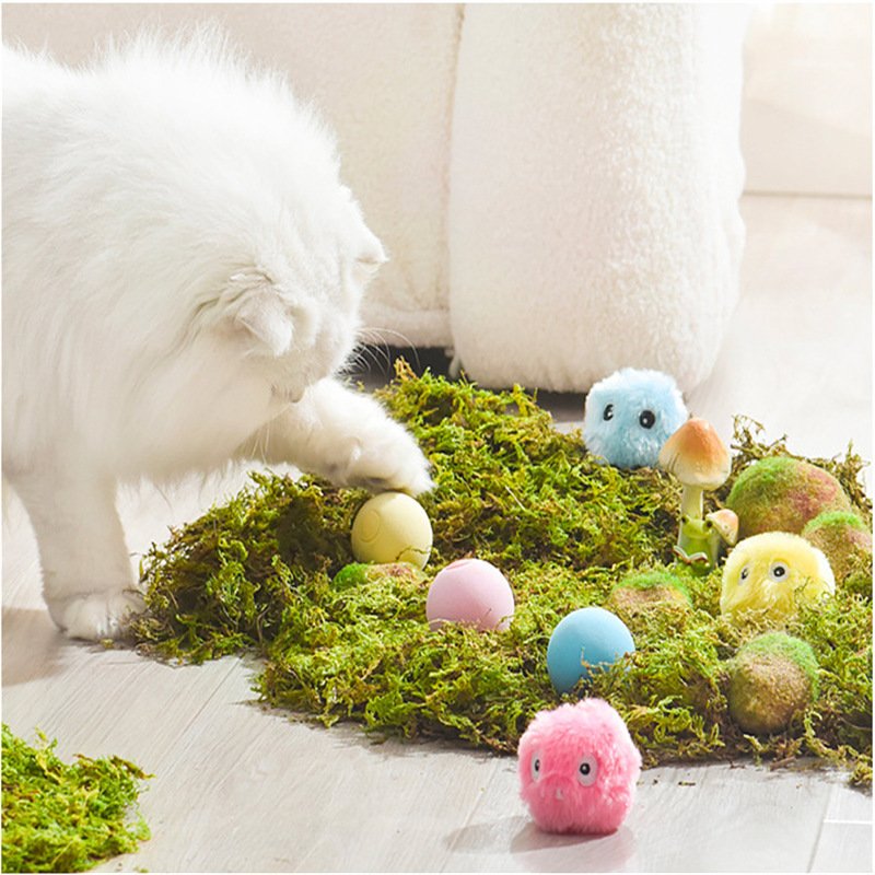 668D463C-422E-4964-B7D3-447Bb2133F29.Jpg Kitty Calling Ball Toy Light-Emitting Cat Teasing Ball Catnip Sound Molar Long Lasting Self-Hi Relieving Stuffy Dog Toy Pet Products