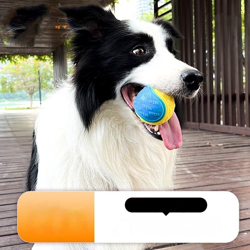 Dog Molar Training Ball – Ultimate Long-Lasting Chew Toy