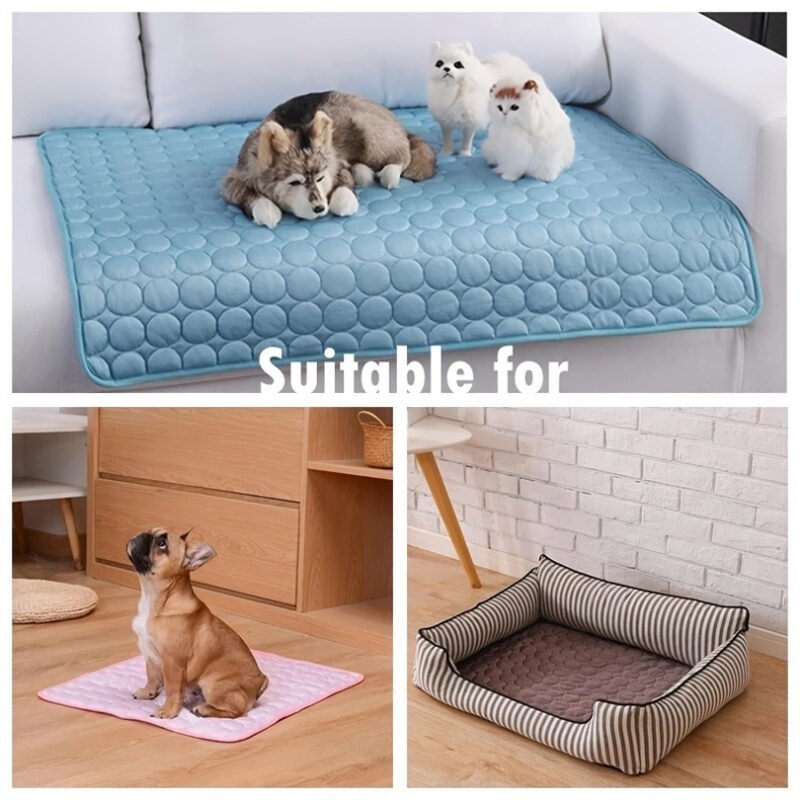 8316B4D6-C995-477E-9D1B-73F55273Dce5.Jpg Premium Dog Cooling Mat – Breathable Summer Comfort