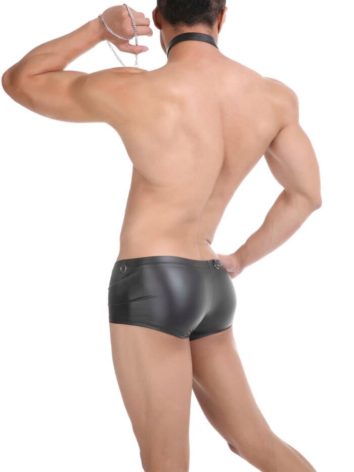 Silver Men's Underwear Tp R479g Bronzing Imitation Leather Sexy Vanskoos Boxers Underpants Men VS010PJ - Image 5